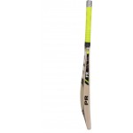 PR ARGCBE15 English Willow Cricket Bat (SH)